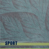 полотенце пляжное махровое "wellness"